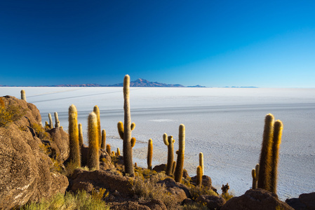 乌尤尼盐沼，玻利维亚的安第斯山脉在日出