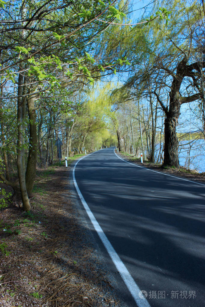 春天旅行在树大道蓝色天空和湖5