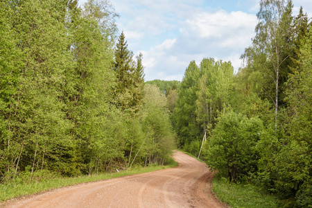 森林里蜿蜒的泥土路照片