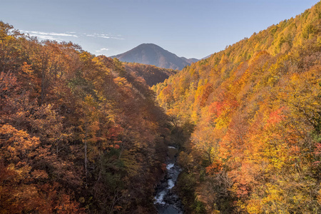 Nakatsugawa 峡谷在福岛秋季