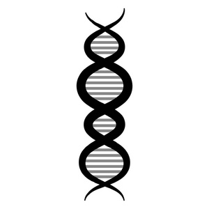 Dna 分子的结构