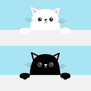 黑白相间的滑稽猫挂在纸板模板上。矢量插图