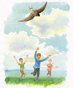 男孩跑只飞翔的小鸟照片