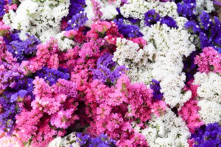 五颜六色的花朵在花卉市场