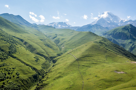  kazbek  