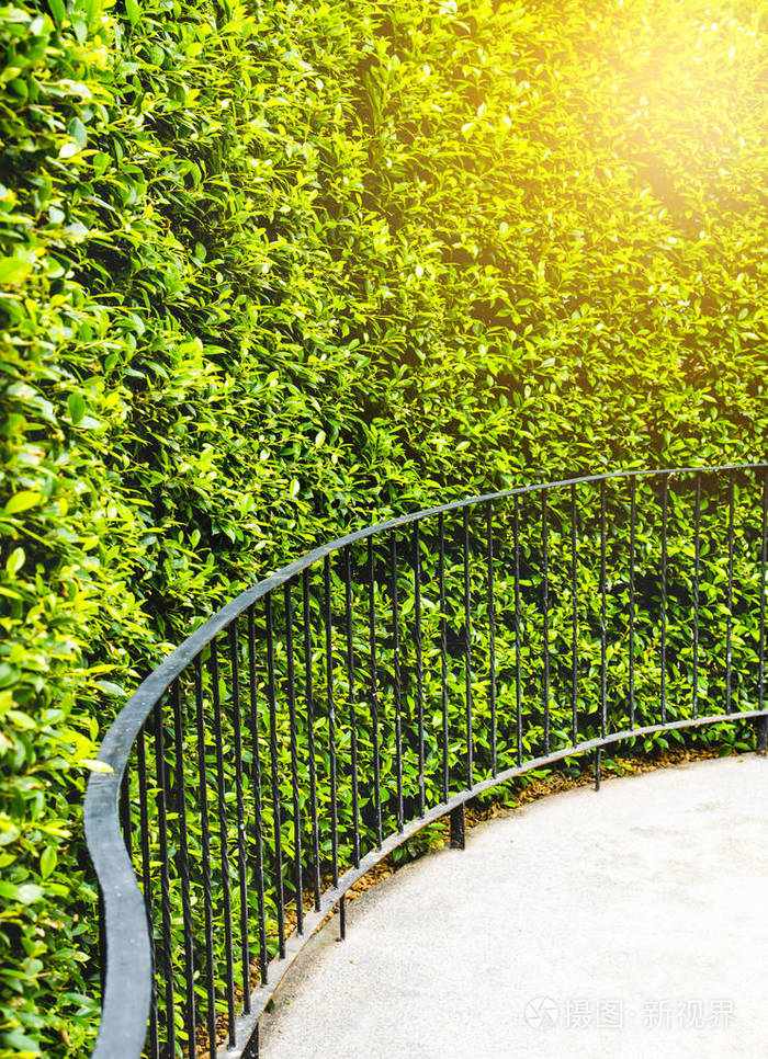 绿色花园墙复古色调