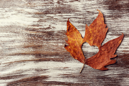 干燥秋天的叶子，用剪影的心