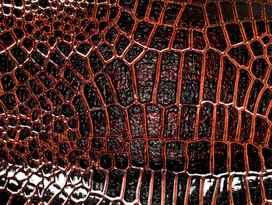 黑鳄鱼皮革纹理，可以用作背景