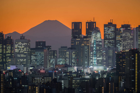 东京夜景与山富士在背景上图片