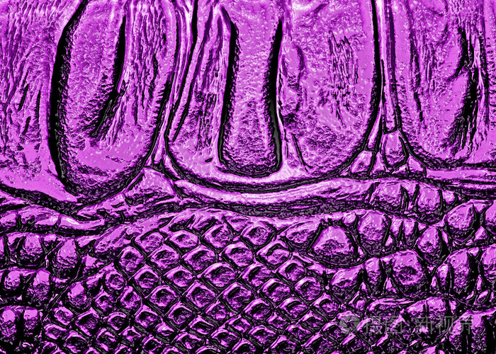 紫罗兰色的鳄鱼图案背景