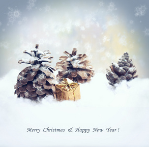 圣诞礼物 杉木树球果，降雪量与背景