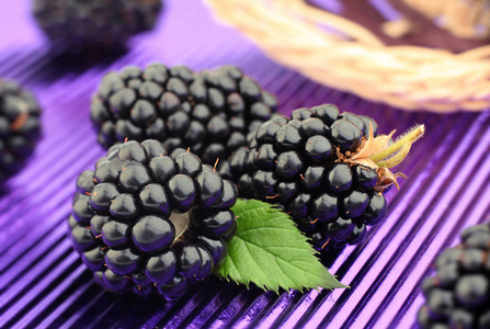 黑莓水果紫箔