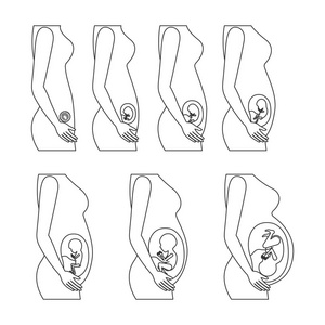 怀孕的女人剪影图片-怀孕的女人剪影素材-怀孕的女人剪影插画-摄图新