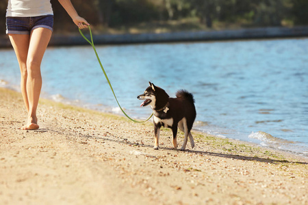 柴犬的女人在河畔