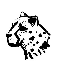 cheeta 头手绘矢量图