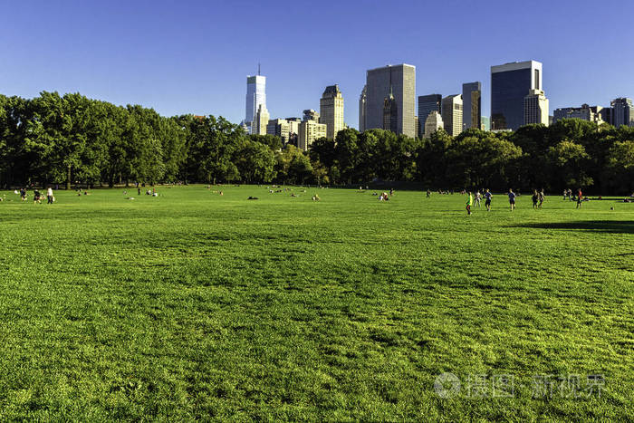 纽约中央公园的绿色草坪