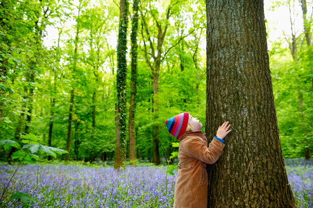 树开花野外图片
