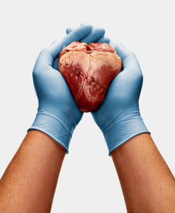 戴着手套的手托着缝好的心照片