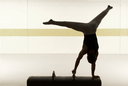 男子体操运动员在鞍马上表演照片