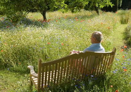 坐在公园长椅上的老人照片