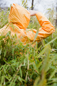 树叶光斑人人像图片