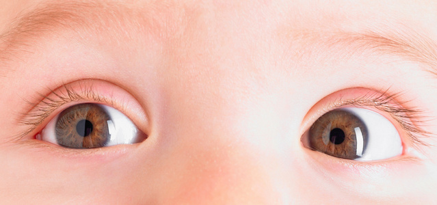 婴儿眼睛的特写镜头照片