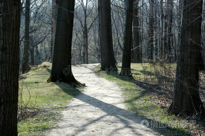 北畠显家 太平记_太平天国北王_北太平洋垃圾漩涡