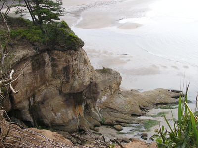 太平洋海岸和海洋