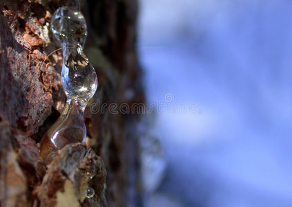 补牙树脂图片-补牙树脂素材-补牙树脂插画-摄图新视界