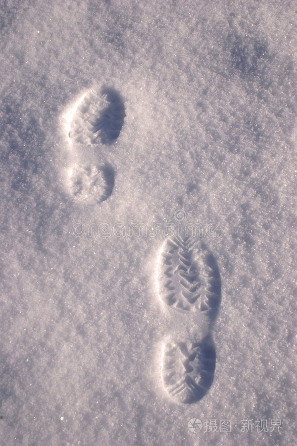 的足迹很多雪雪中的鸟足印雪中的足迹雪印走在雪景中的女孩雪地小农场