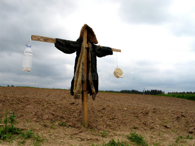 农场的稻草人图片