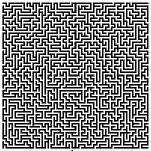 错综复杂错综复杂的迷宫照片