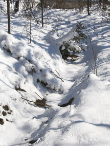 雪中小路