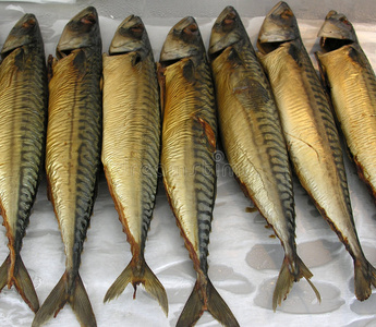 鲜鲭鱼烟熏的鲭鱼船下鲭鱼群印度鲭鱼鲜鲭鱼装满鲭鱼的桶鲭鱼和香料