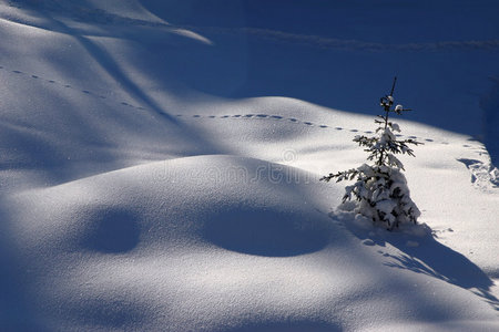 在雪地上旅行