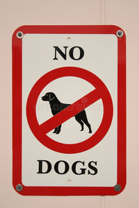 火影忍者禁禁狗标志照片