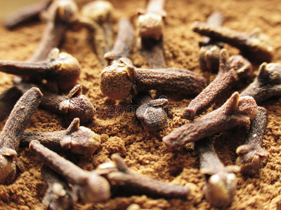 丁香和桂皮照片