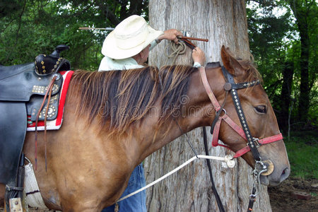 带马的老牛仔照片