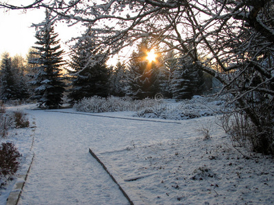 雪地花园图片