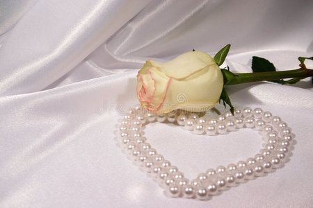 白玫瑰和珍珠照片