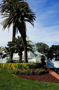 旧金山温室花园照片