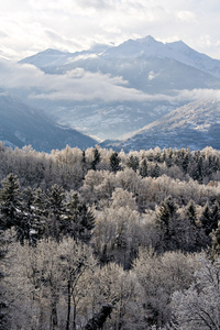 冰冻山林