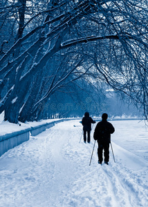 雪地滑雪者的剪影