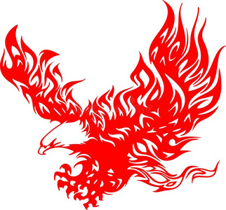 火焰中的鹰4照片