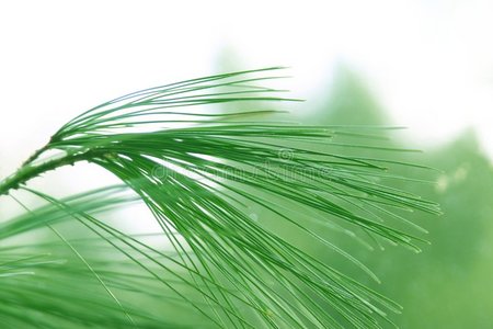 摆动的花灯图片-摆动的花灯素材-摆动的花灯插画-摄图新视界