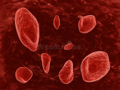 诊所 生物学 感染 动脉 细菌 保护 药物 腐殖质 器官