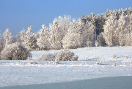 冬季景观