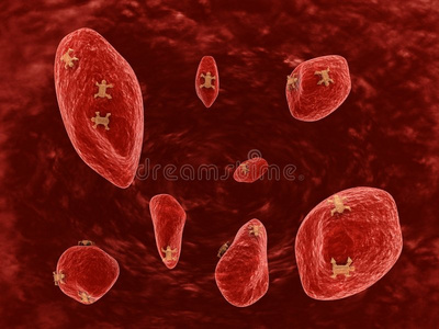 保护 癌症 生活 感染 生物学 医学 纳米技术 防病毒 微生物