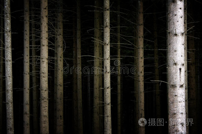 幽暗的森林