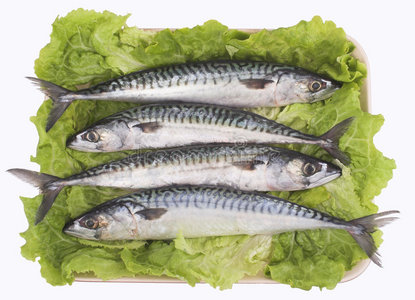 腌制的鲭鱼图片